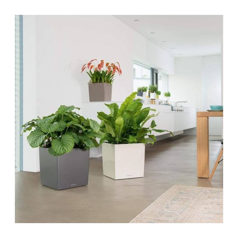 Lechuza - Pot De Fleur Lechuza Cube Premium 50 - Kit Complet, Taupe Brillant - Imagen 5