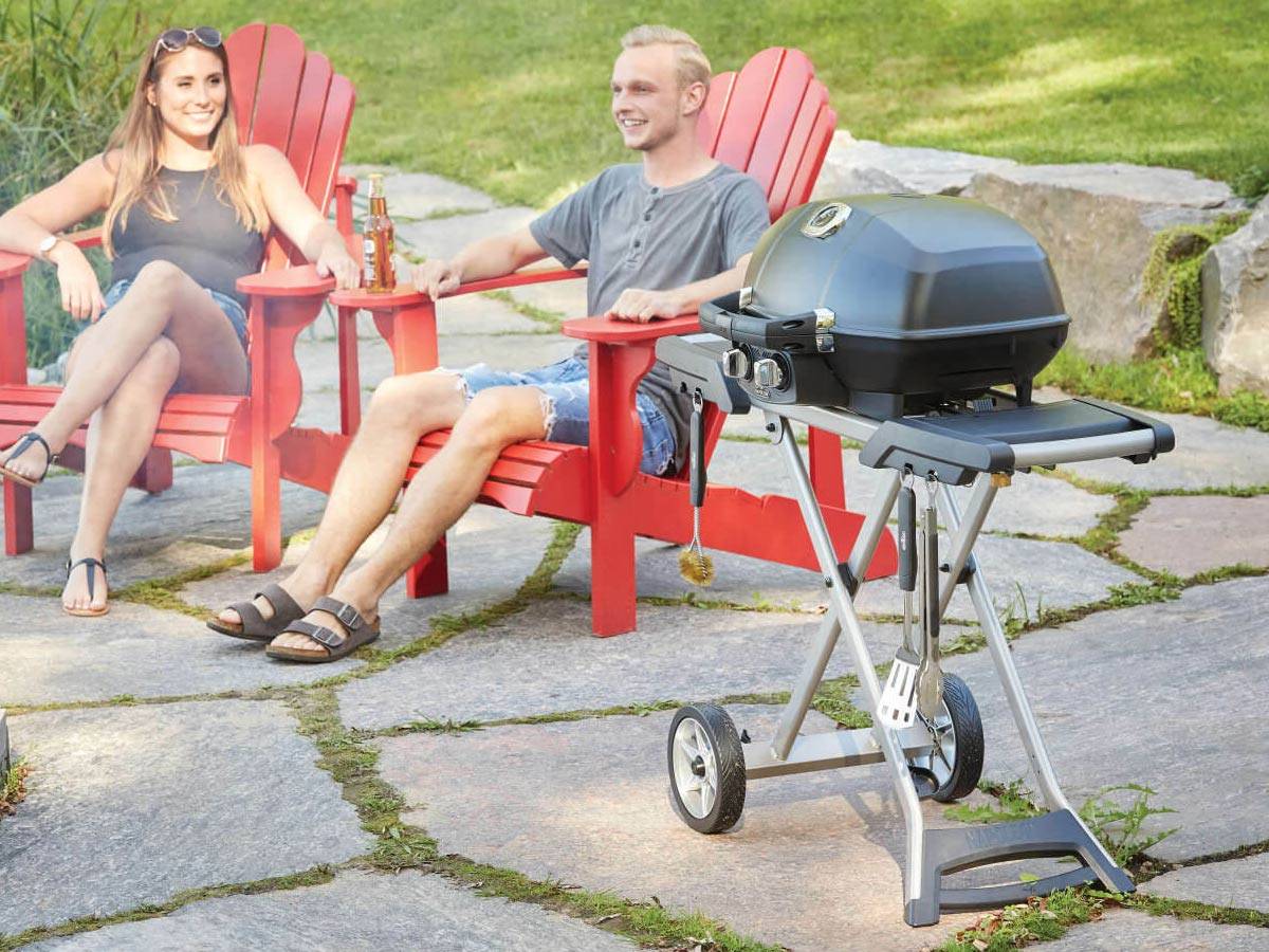 Napoleon - Barbecue à gaz TravelQ PRO 285X avec Chariot pliable - Imagen 10