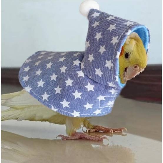 Vêtements pour oiseaux DtopbuyAge - Image 4