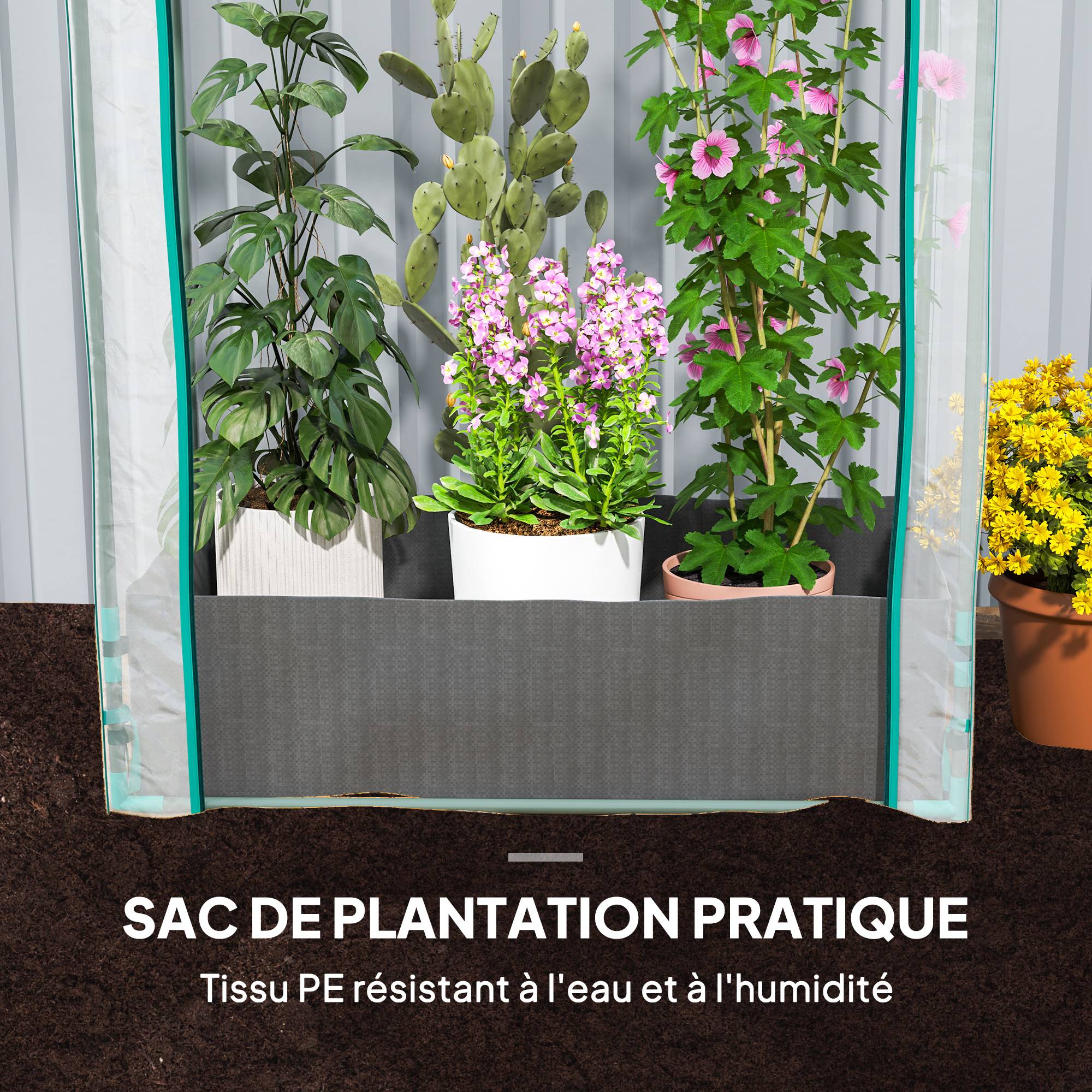 Mini serre de jardin Plastique Transparent 89x50x152 cm - Image 7