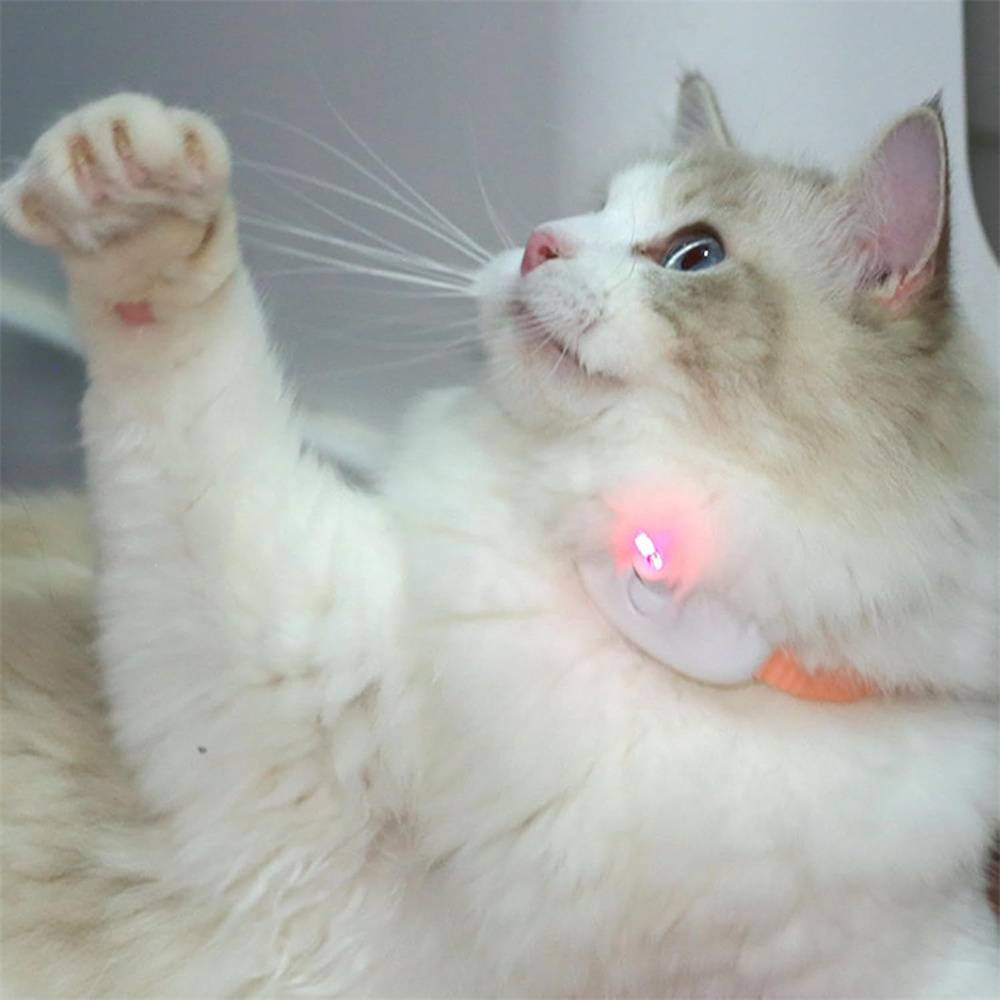 DtopbuyAge - Collier pour chat(Vert) DtopbuyAge - Image 2