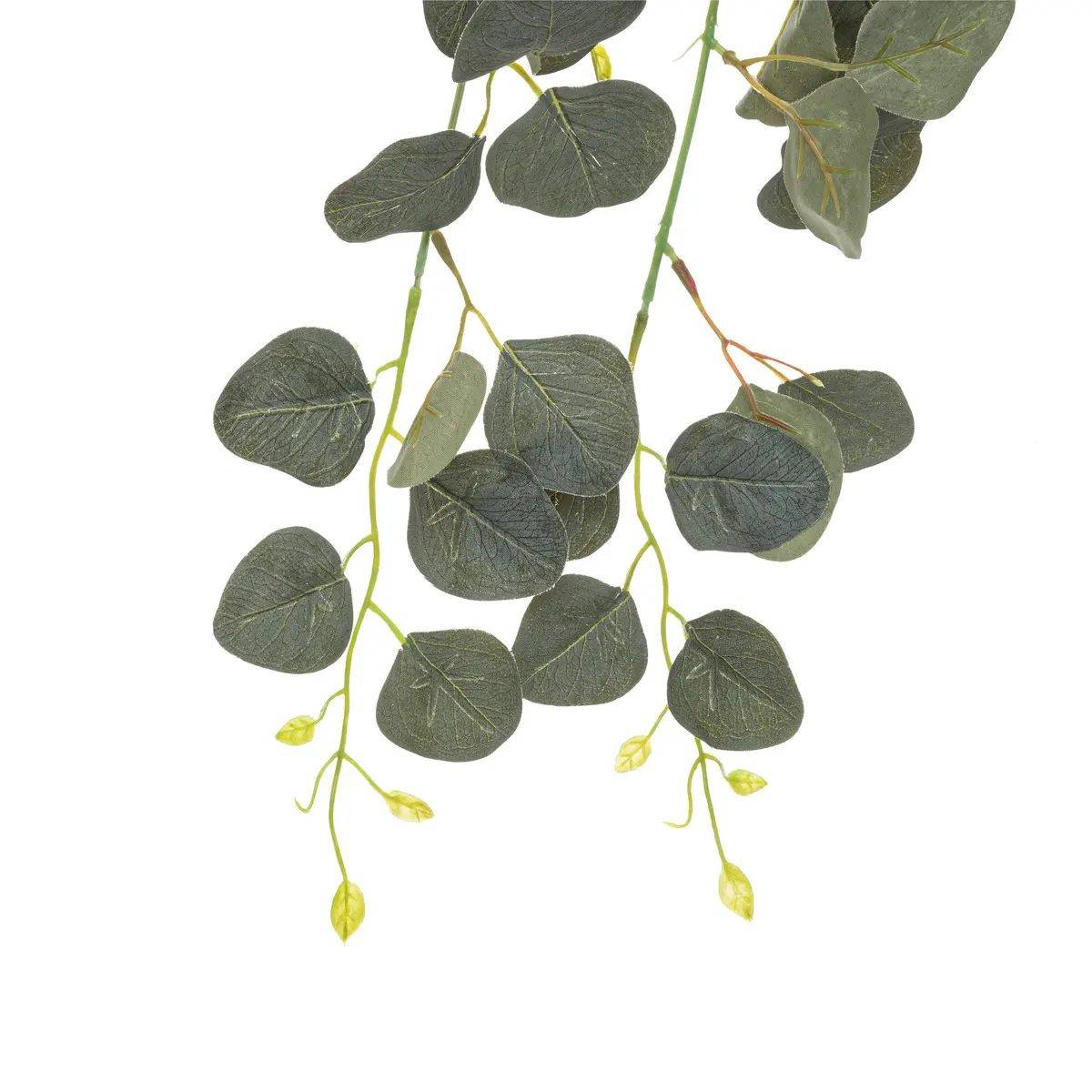 Tige Artificielle Eucalyptus "Drew" 80cm Vert - Image 2