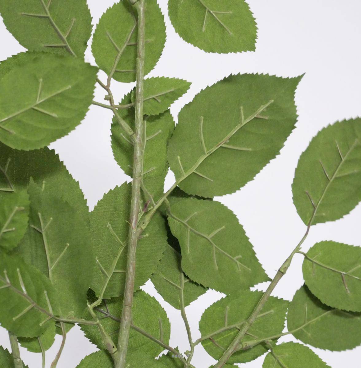 Artificielles - Branche de Hetre artificiel vert H 65 cm 43 feuilles feu retardant - Imagen 4