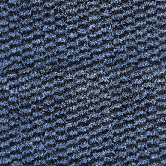 Biscpro Tapis d'entrée Interieur 50x80cm Paillasson,Antidérapant Biscpro Tapis d'entrée Interieur 50x80cm Paillasson,Antidérapant