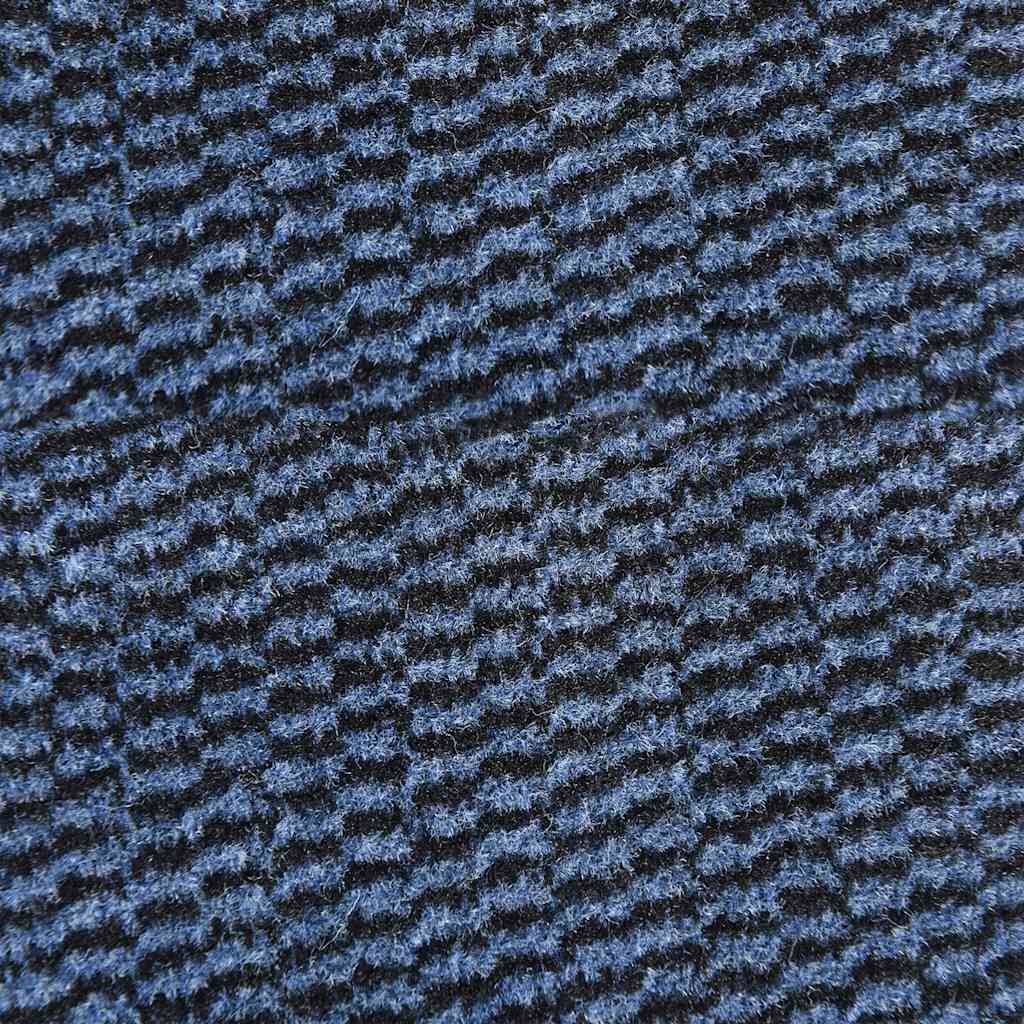 Biscpro Tapis d'entrée Interieur 50x80cm Paillasson,Antidérapant