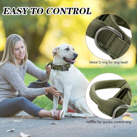 Collier pour chien vert XL - MCBOSON - Image 4