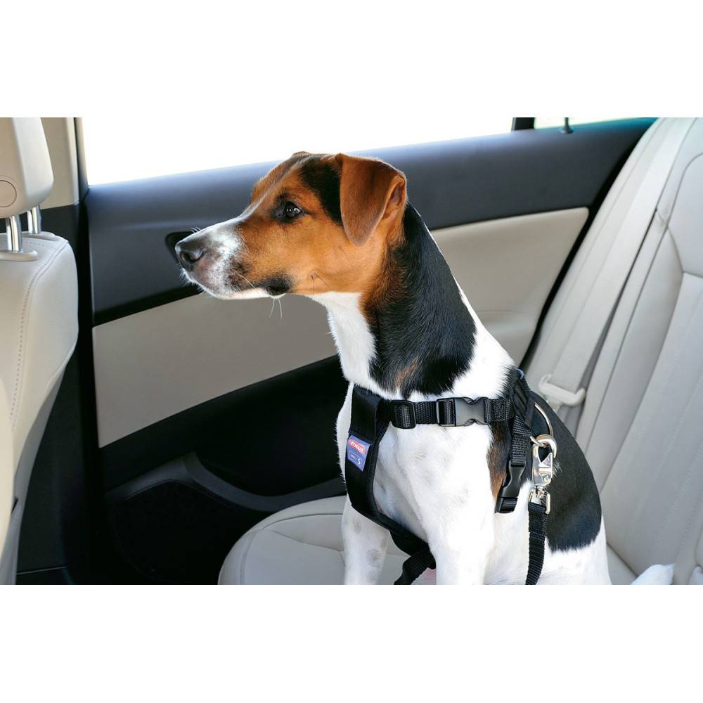 Harnais de sécurité taille M pour chien en voiture - Image 5
