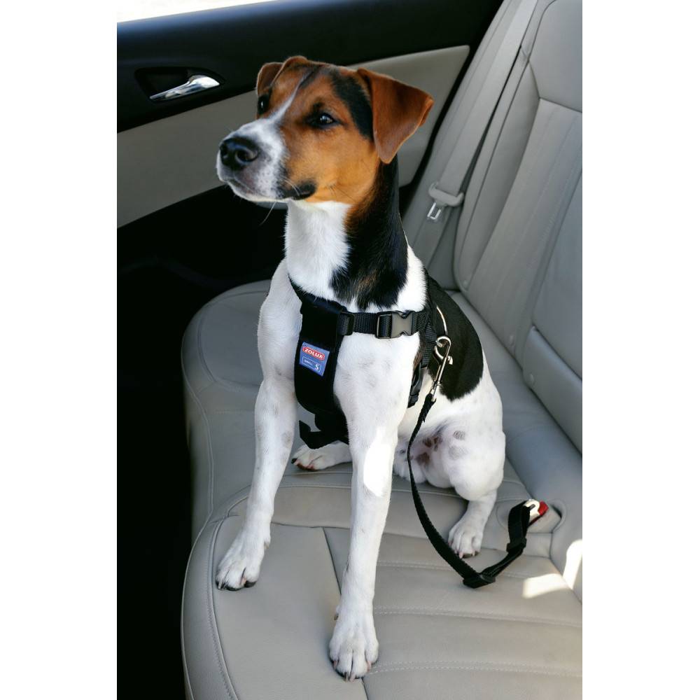Harnais de sécurité taille M pour chien en voiture - Image 4