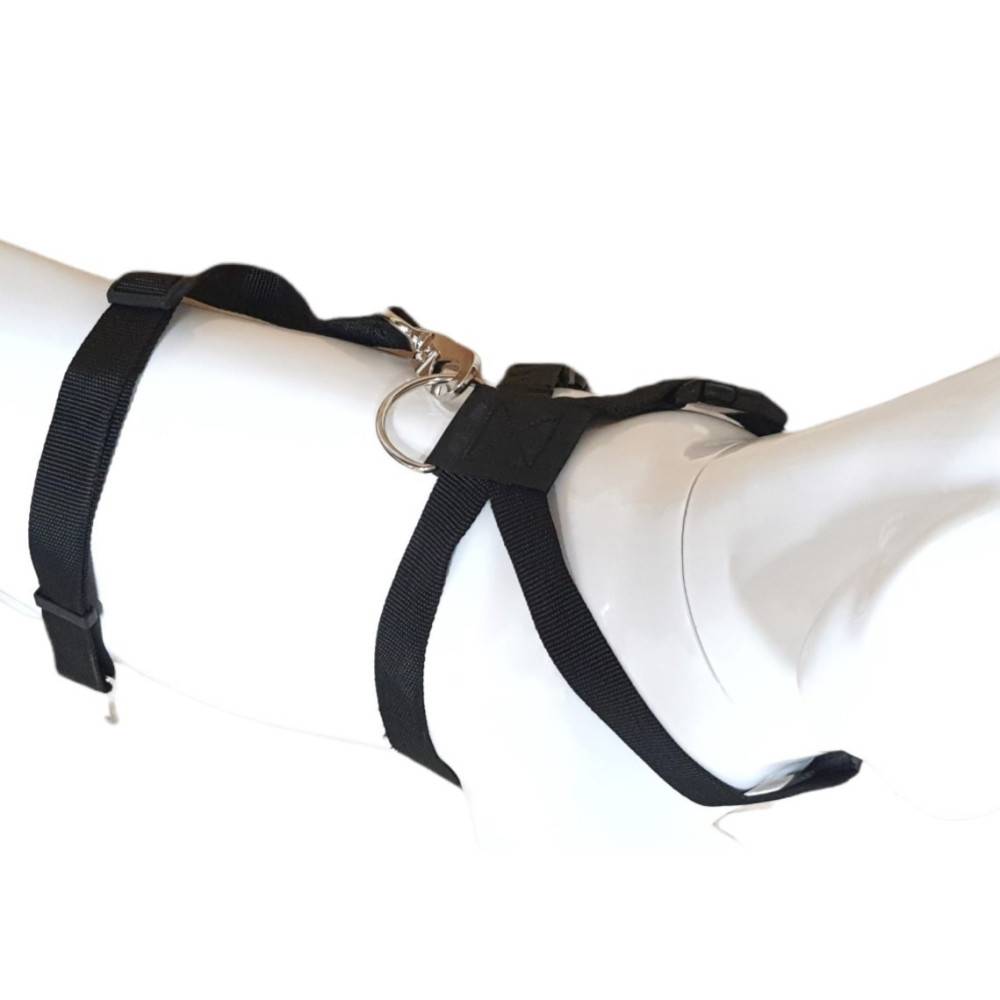 Harnais de sécurité taille M pour chien en voiture - Image 10