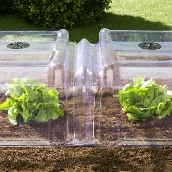Terre Jardin - Tunnel de forçage transparent - Image 5