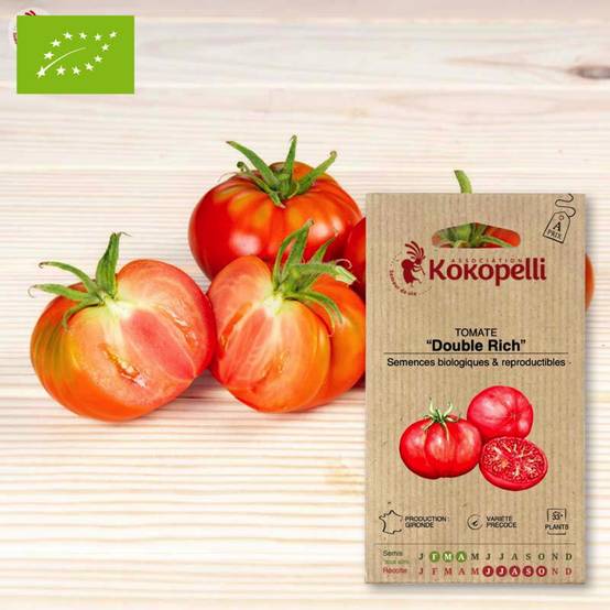 Tomate Double Rich- Graines bio à semer - Image 1