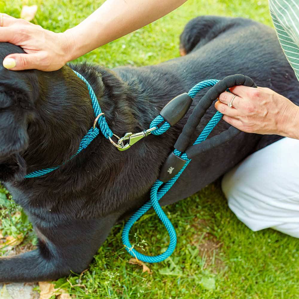 Ferplast - Laisse pour Chiens SPORT EXTREME G8/120, Longe en Nylon Robuste, Poignée Rembourrée Confortable, Azur-Bleu - Imagen 3