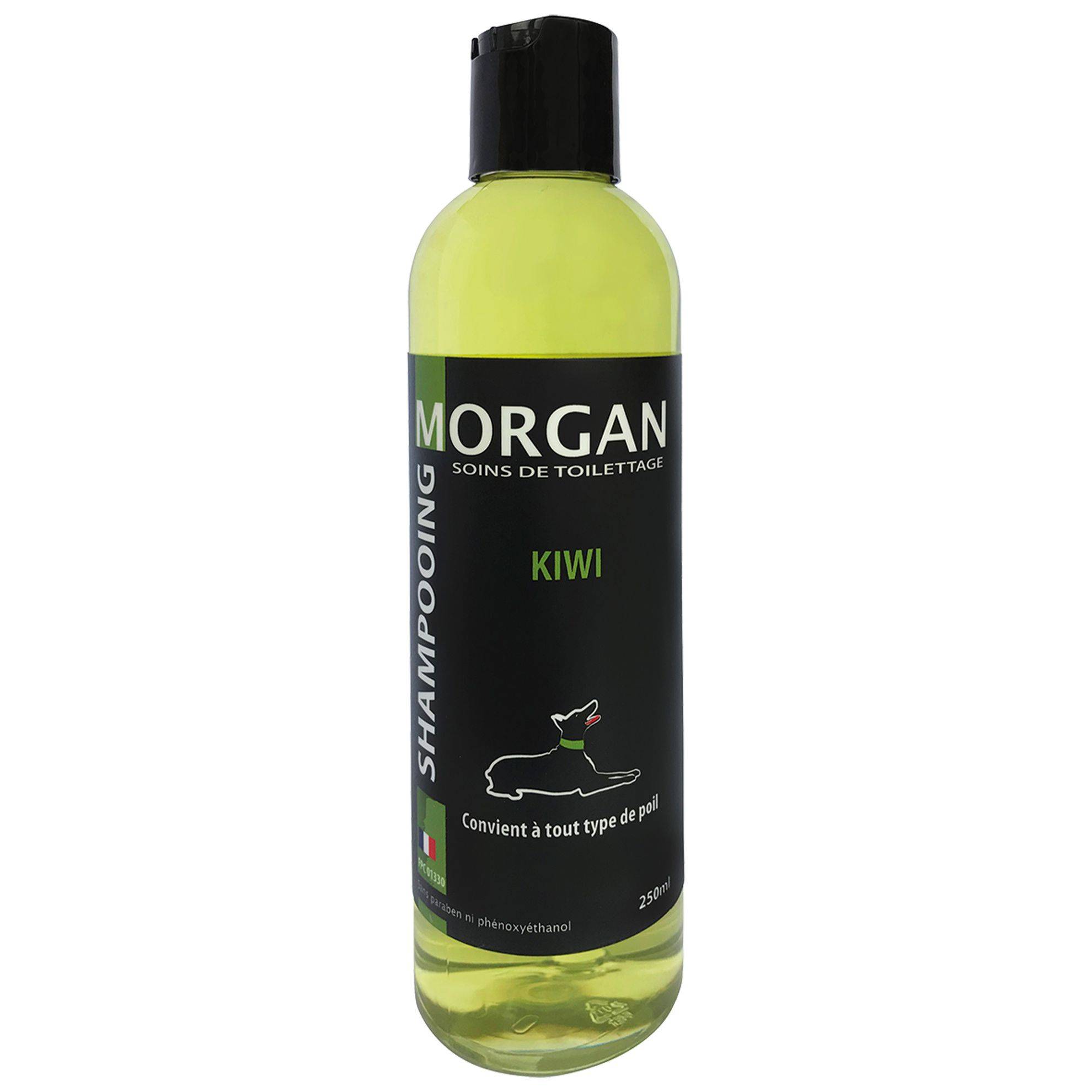 Shampoing protéiné senteur Kiwi Morgan : 250ml MORGAN