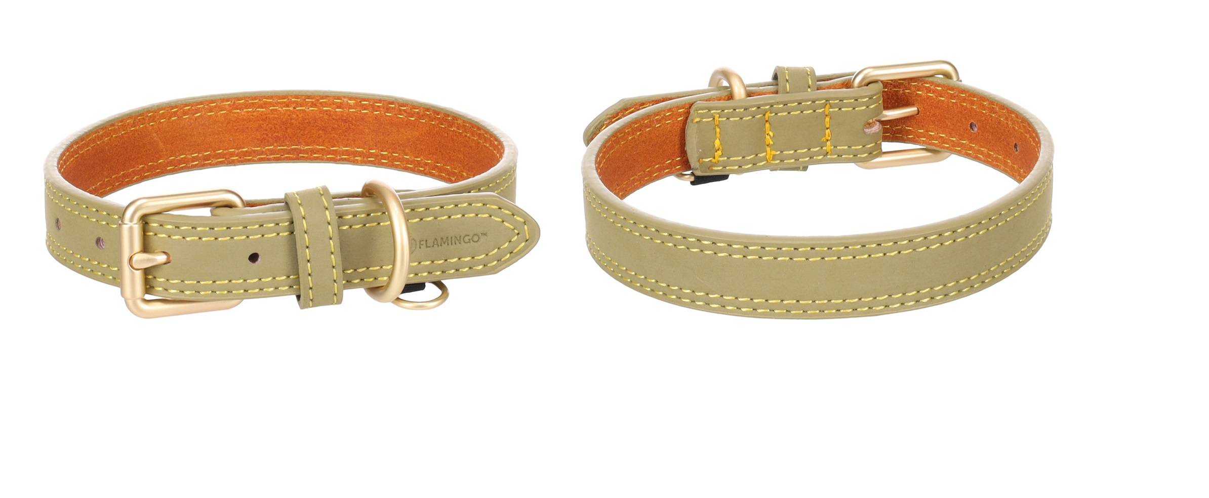 Eden - Collier pour chien Virginia en cuir XS / S 24-30cm 15mm vert - Image 4