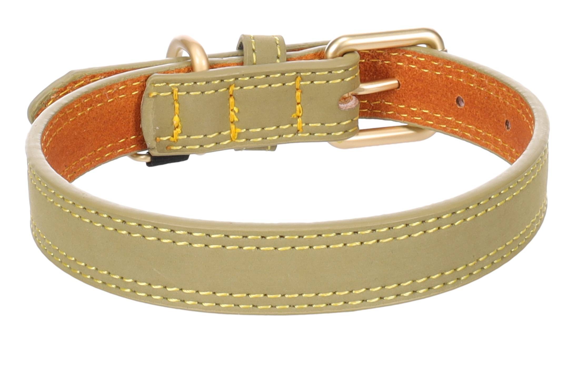 Eden - Collier pour chien Virginia en cuir XS / S 24-30cm 15mm vert - Image 1