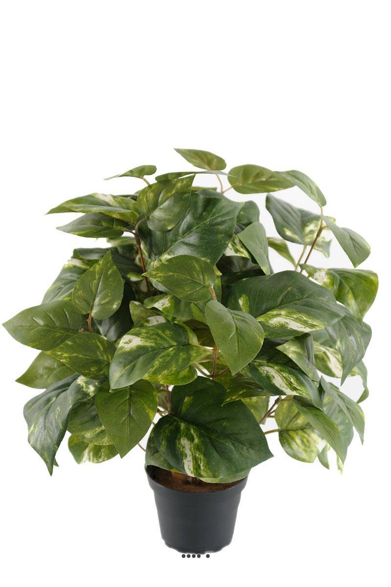 Artificielles - Pothos artificiel en pot H 40 cm, D 34 cm - Imagen 1