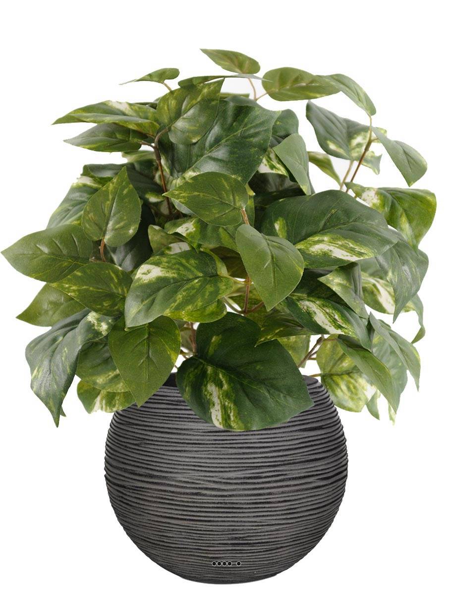 Artificielles - Pothos artificiel en pot H 40 cm, D 34 cm - Imagen 2