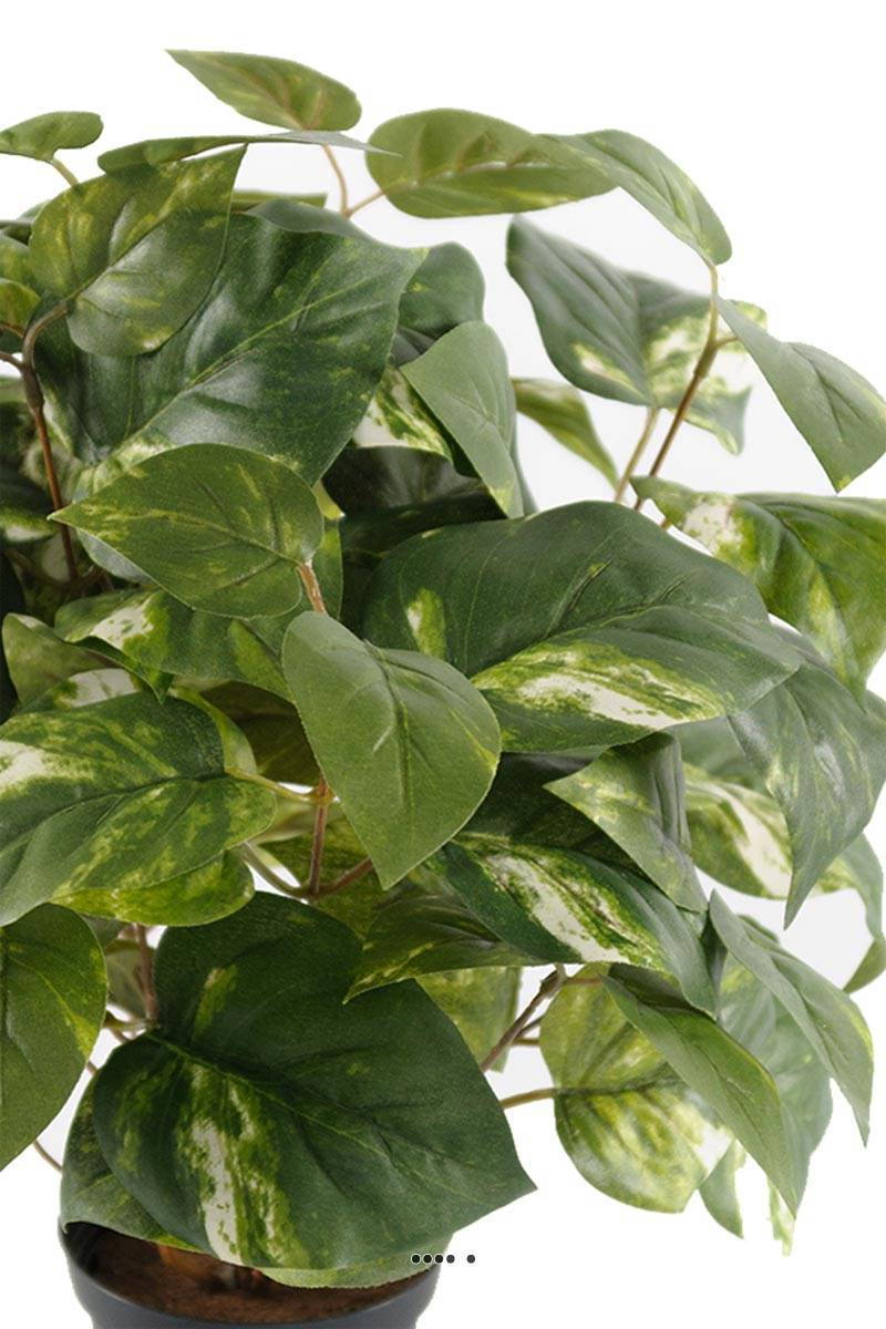 Artificielles - Pothos artificiel en pot H 40 cm, D 34 cm - Imagen 3