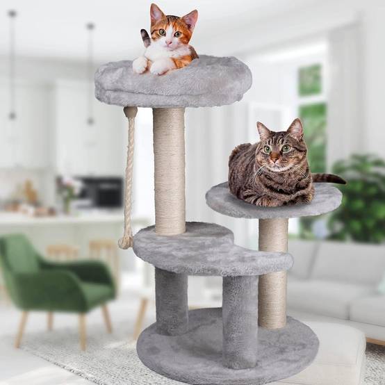 Arbre à Chat Hauteur 62 cm 3 Plateformes perchées Griffoir Sisal Corde de Jeu Tour à griffer Perchoir - Image 3