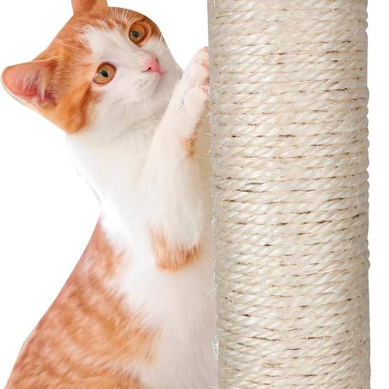 Arbre à Chat Hauteur 62 cm 3 Plateformes perchées Griffoir Sisal Corde de Jeu Tour à griffer Perchoir - Image 5