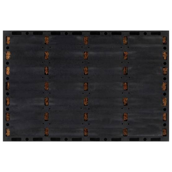 Paillasson Léopard JAYWIS - 40x60cm (Intérieur/Extérieur Paillasson Léopard JAYWIS - 40x60cm (Intérieur/Extérieur