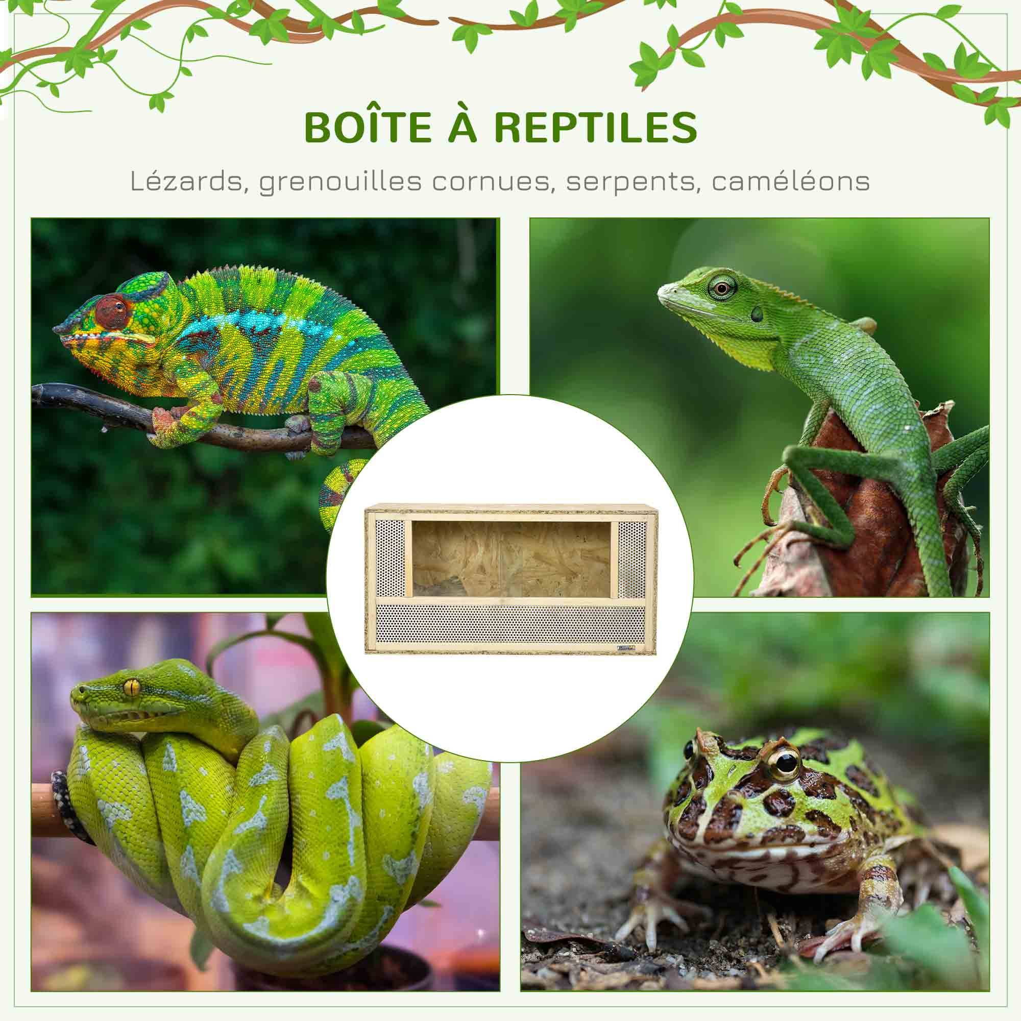Terrarium bois OSB naturel 80 x 40 x 40 cm - PANGIVO - Image 6