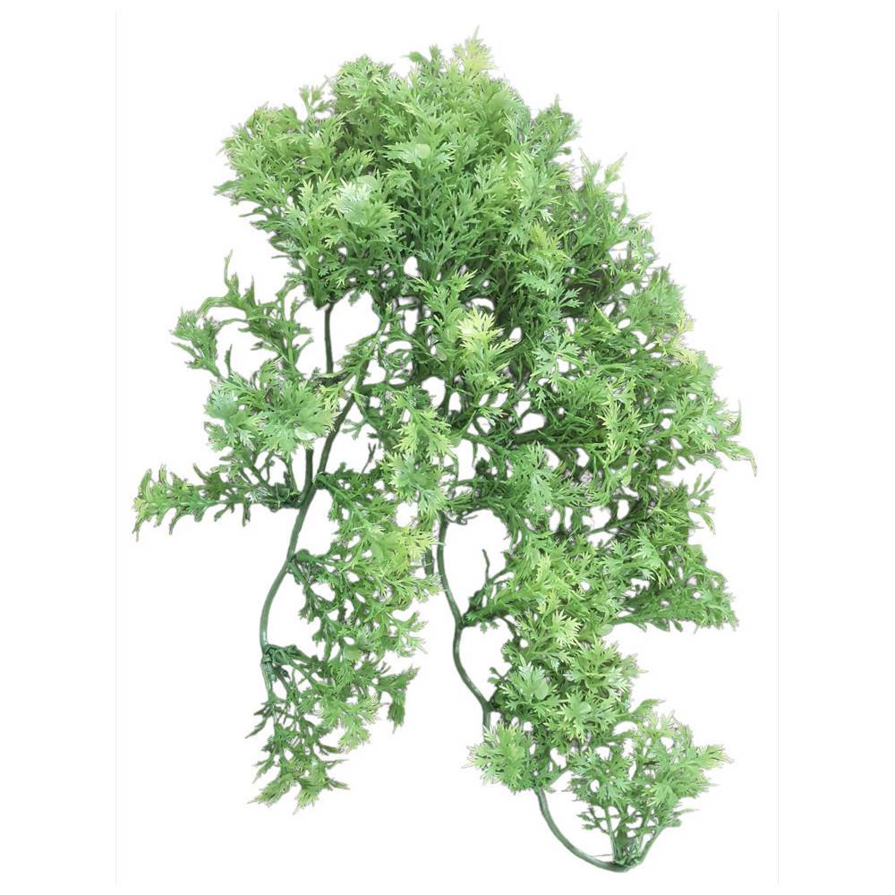 Plante décorative en plastiques imitation érable australien d'environ 46 cm. - Image 1