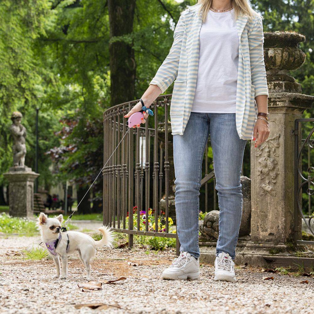 Ferplast - Ferplast Laisse Chien Enrouleur FLIPPY ONE, Laisse pour Petits Chiens jusqu'à 8 Kg. Cordon Extensible max 3 m. Bouton unique pour verrouiller et - Imagen 3