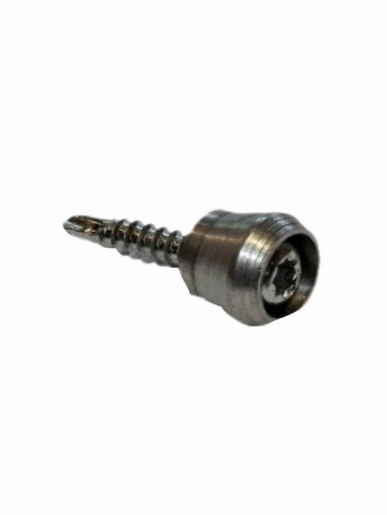 Vis pareclose autoperçeuse monobloc JOURJON - 69278