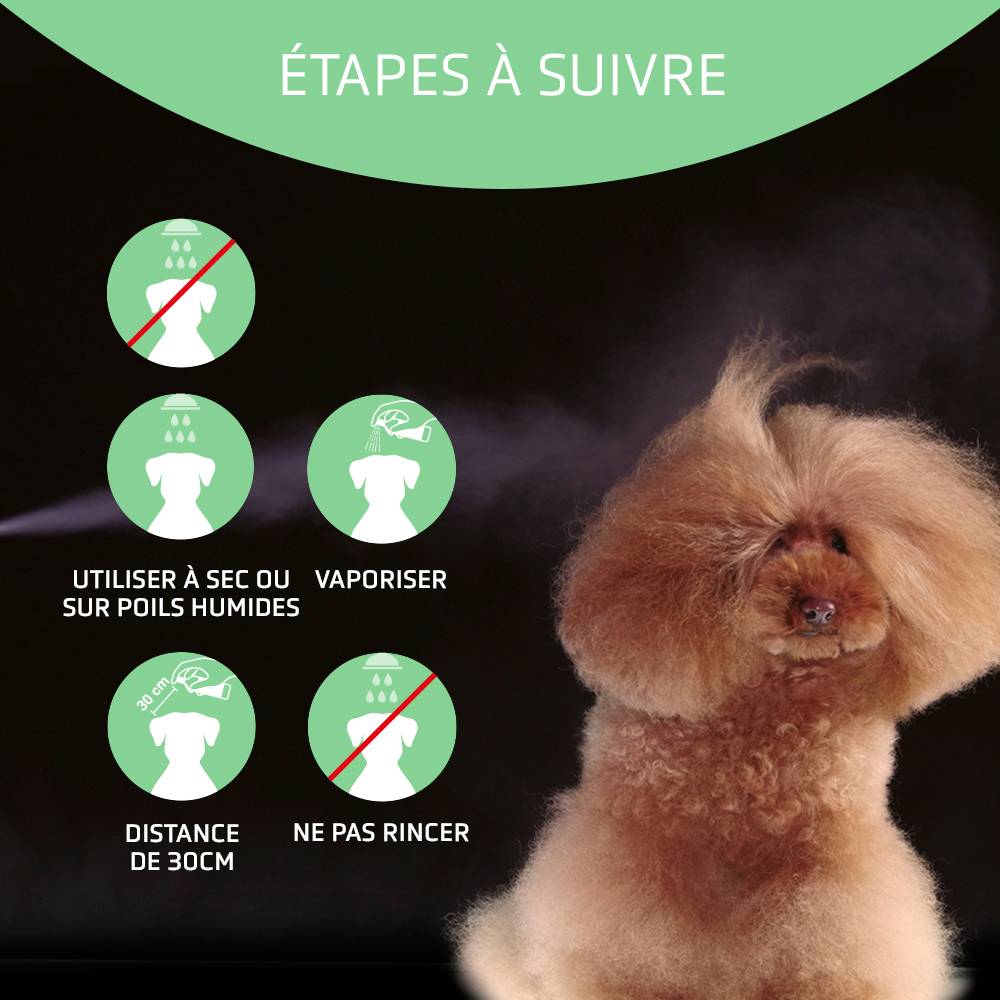 Artero Mix Spray 300 Ml. Après-shampoing pour chiens multiphase en spray sur poils mouillés ou secs et sans rinçage. - Image 4