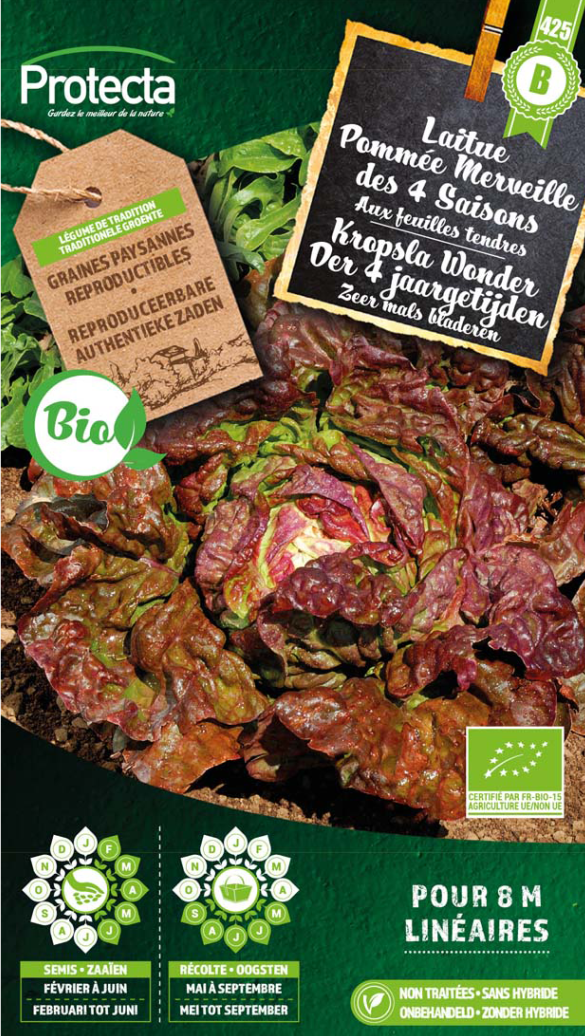 Protecta - Laitue Pommée Merveille des 4 Saisons BIO