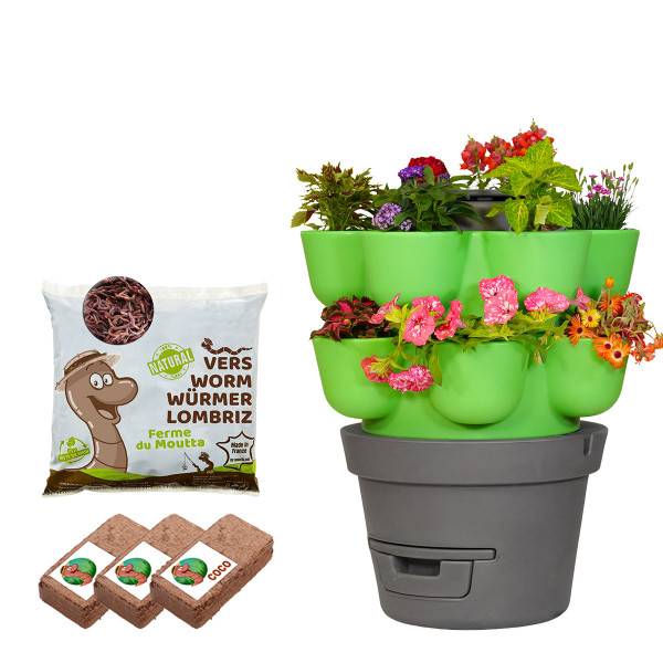WORMgarden Vert 2 jardinières + 250gr de Vers - Image 1