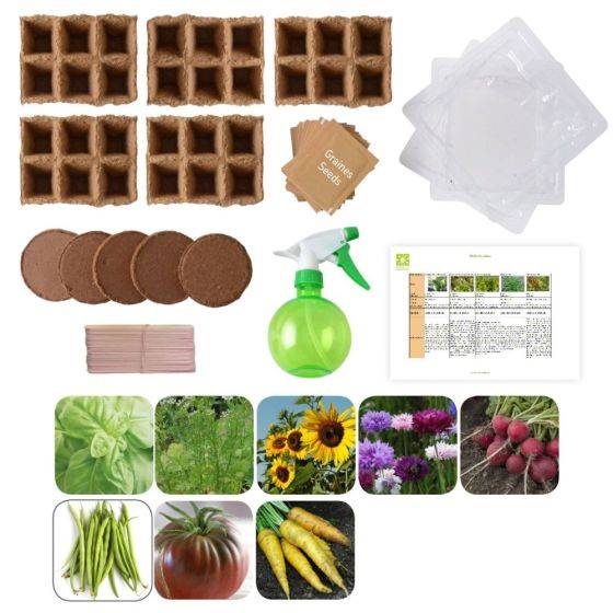 Radis et Capucine - Radis et Capucine - Potager d'une classe - 50 sachets de graines biologiques pour l'école