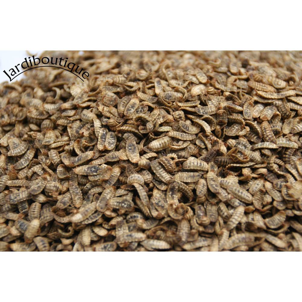 animallparadise - Nourriture oiseaux, poule, lézard, poisson 1 kg - Imagen 2