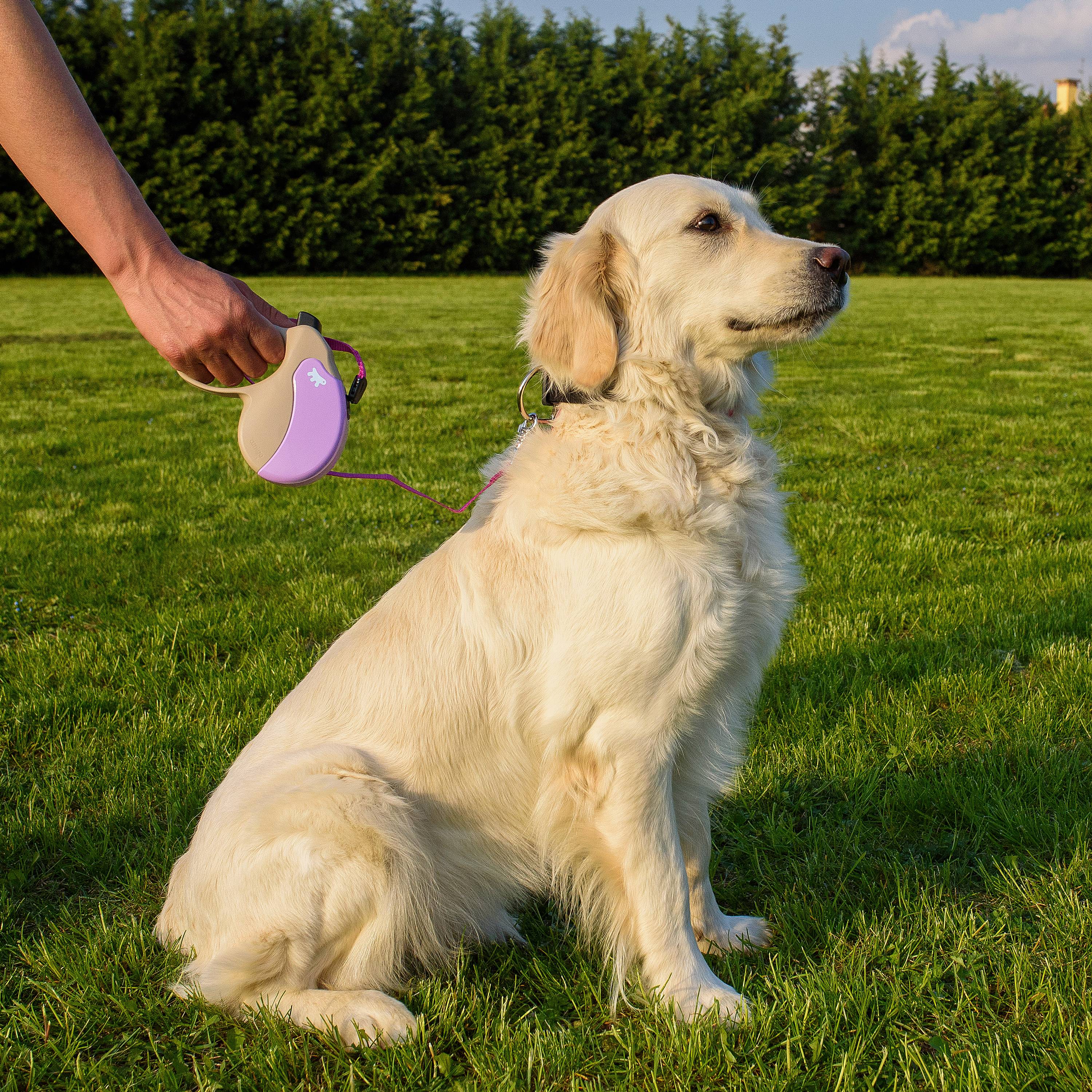 Ferplast - Ferplast Laisse Chien Enrouleur AMIGO MEDIUM, Laisse pour Chiens de Taille Moyenne jusqu'à 25 Kg. Cordon Extensible max 5 m. Bouton de verrouillage et - Imagen 8
