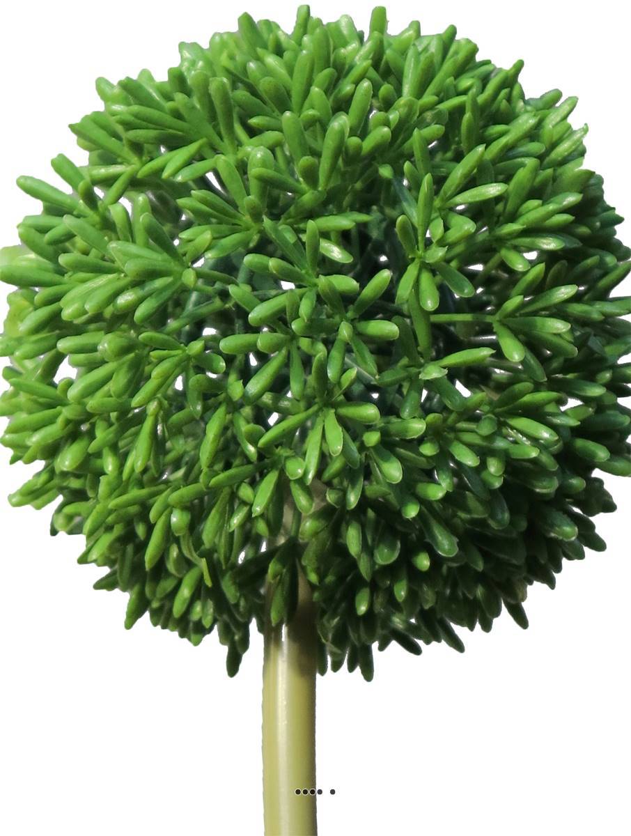 Artificielles - Allium artificiel en tige, spécial grande taille, H 68 cm Vert - BEST - couleur: Vert - Imagen 3