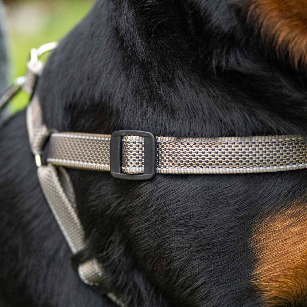 Ferplast - Harnais pour Chien Grande Taille Réfléchissant DAYTONA DELUXE EXTRA LARGE, Rembourré, Marron-Noir - Imagen 5