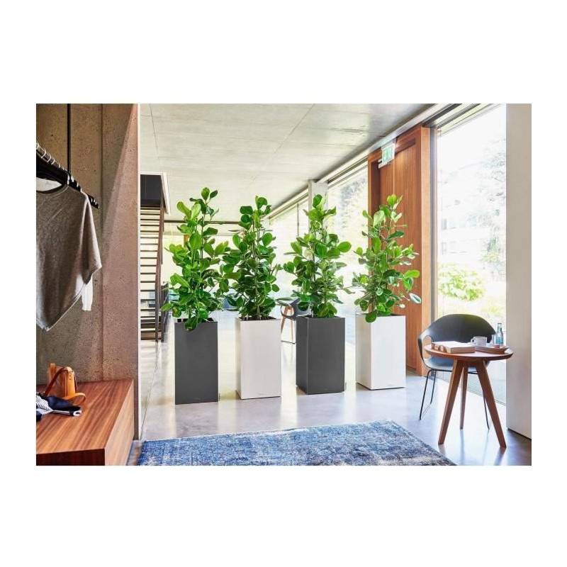 Lechuza - Pot De Fleur Lechuza Canto Premium Colonne 40 - Kit Complet, Anthracite Métallique - Imagen 2