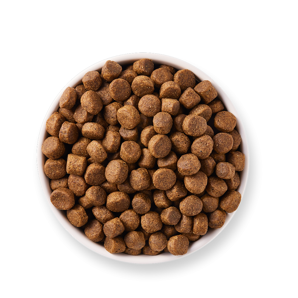 Yarrah - Croquettes Bio Sans Céréales Poulet & Poisson pour Chien - Image 4