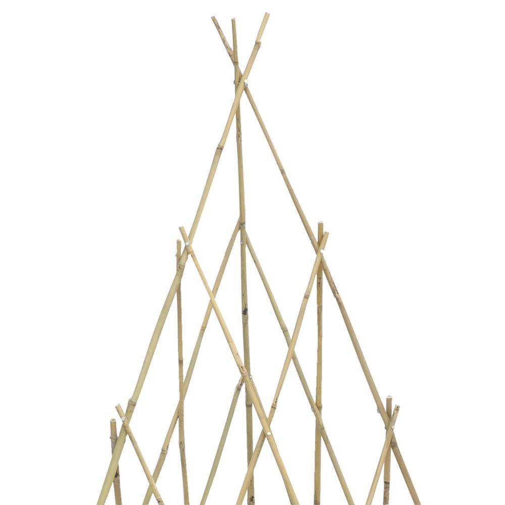 Aubry Gaspard - Treillis tipi en bambou - Image 3