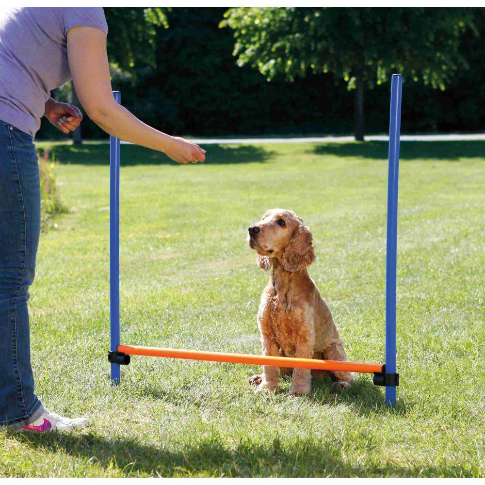 Trixie - Obstacle Agility pour chien 123 × 115 cm, ø 3 cm - Imagen 2