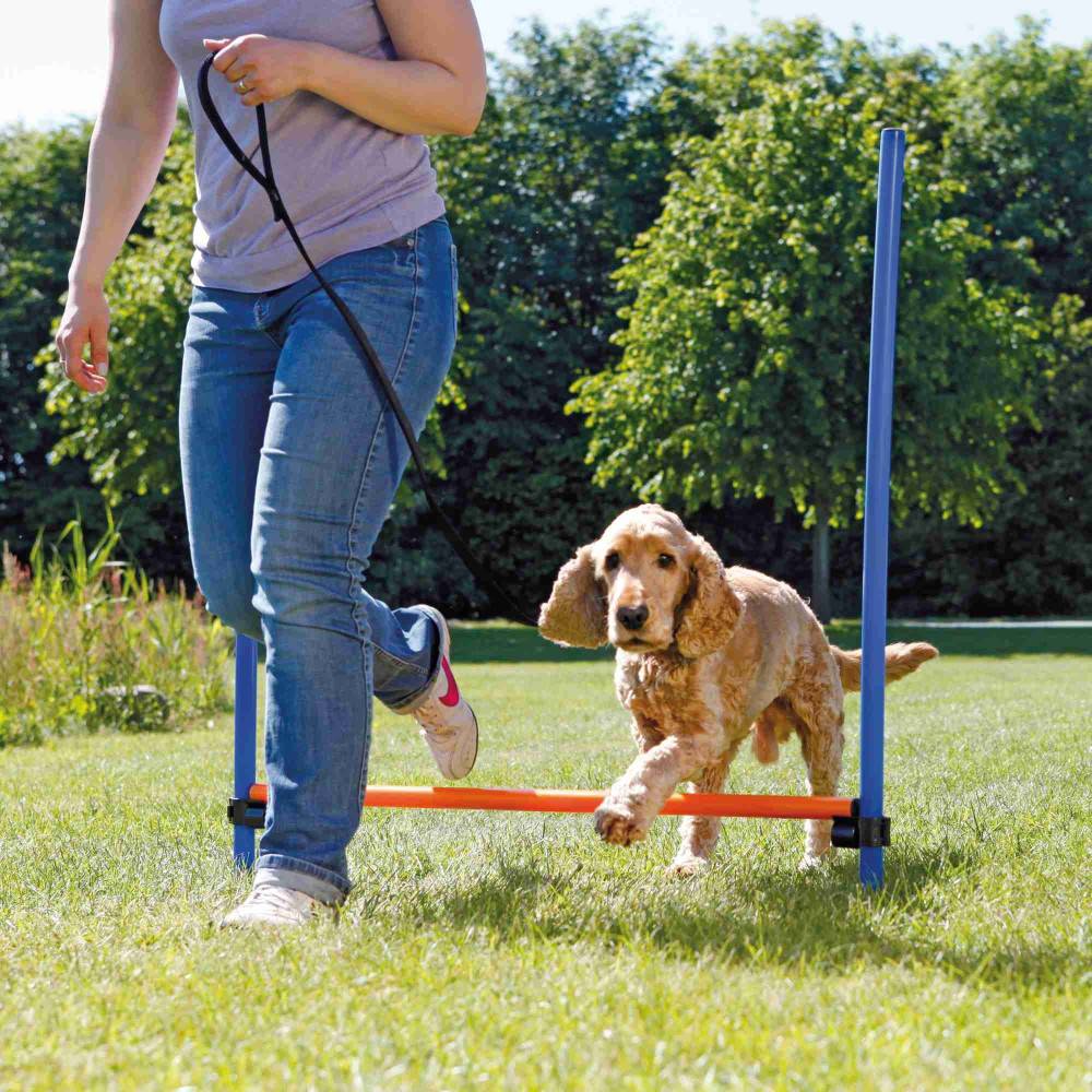 Trixie - Obstacle Agility pour chien 123 × 115 cm, ø 3 cm - Imagen 3