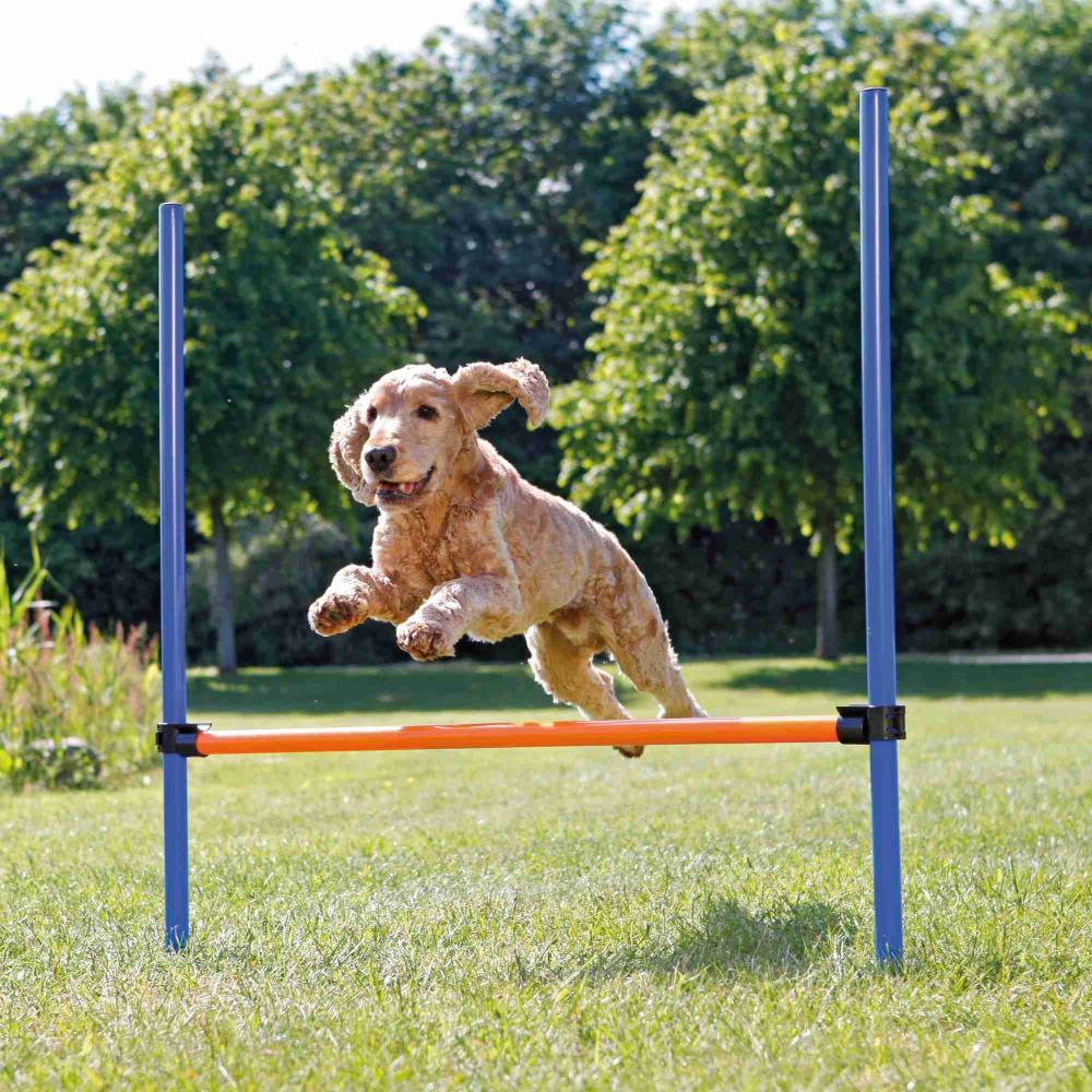 Trixie - Obstacle Agility pour chien 123 × 115 cm, ø 3 cm - Imagen 4