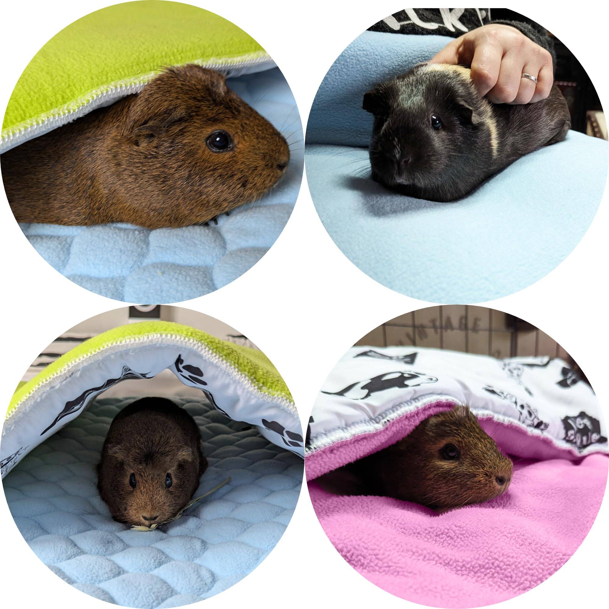Lot de 2 - Tapis pour Cochon d'inde et Lapin en Polaire 60 x 50 cm  - Polaire Absorbant, Lavable en Machine, Economique - Neo Solvo - Image 6