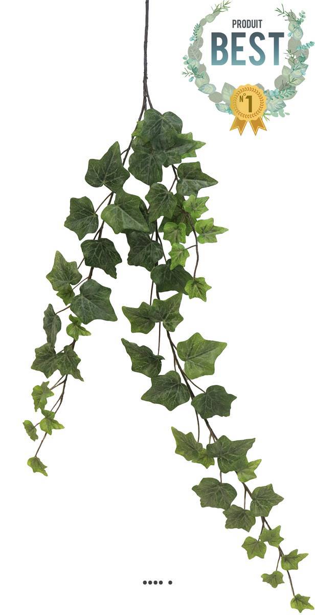 Artificielles - Lierre artificiel en chutes, 3 ramures, L 80 cm, froasted - BEST - couleur: Vert-jaune - Imagen 1