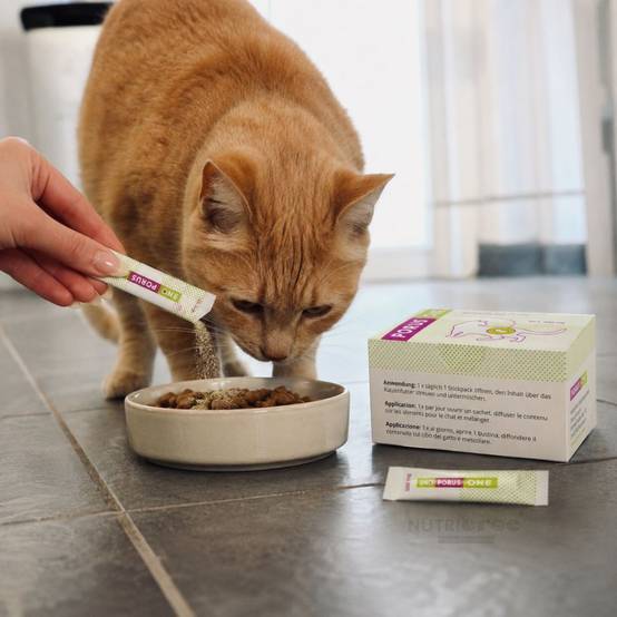 Porus One Complément Rénal pour Chat 30 Sachets 30 - Image 3