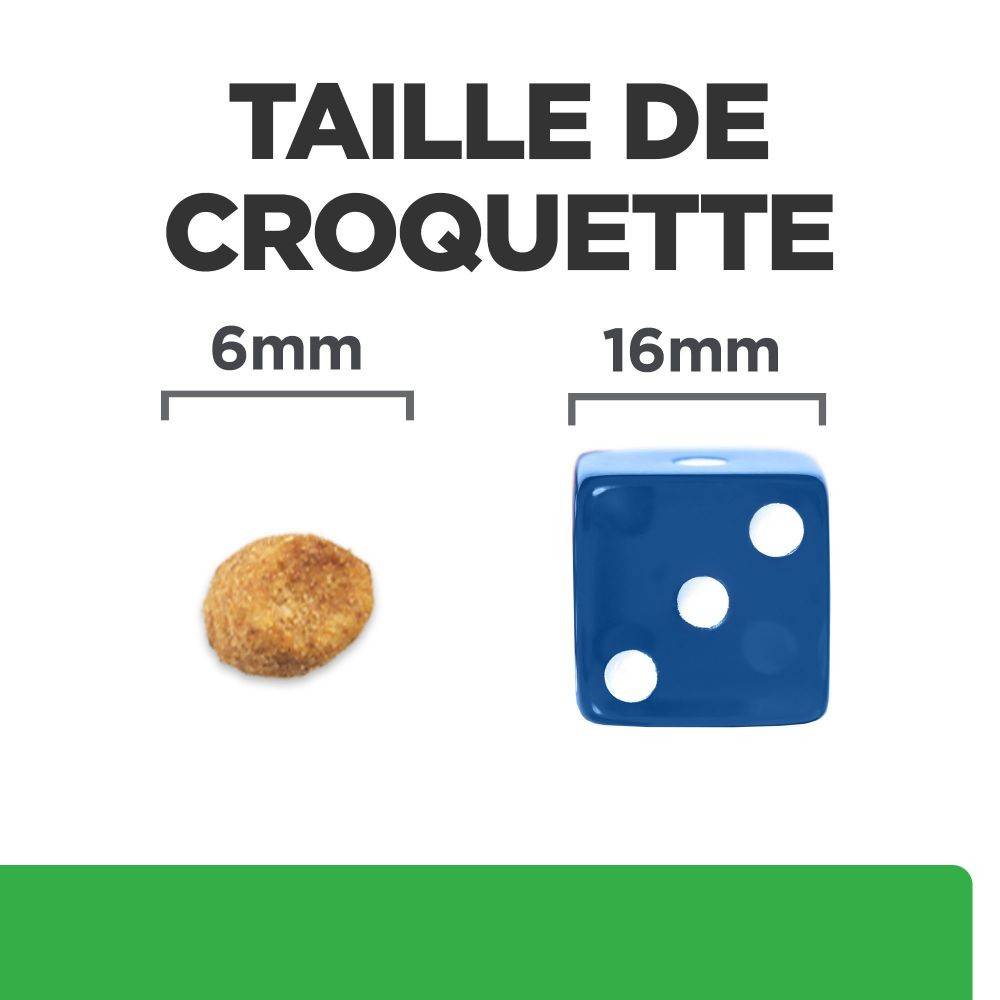 CROQUETTES CHAT ADULT PRESCRIPTION DIETS R/D WEIGHT LOSS - HILL'S 1,5 kg - Image 5