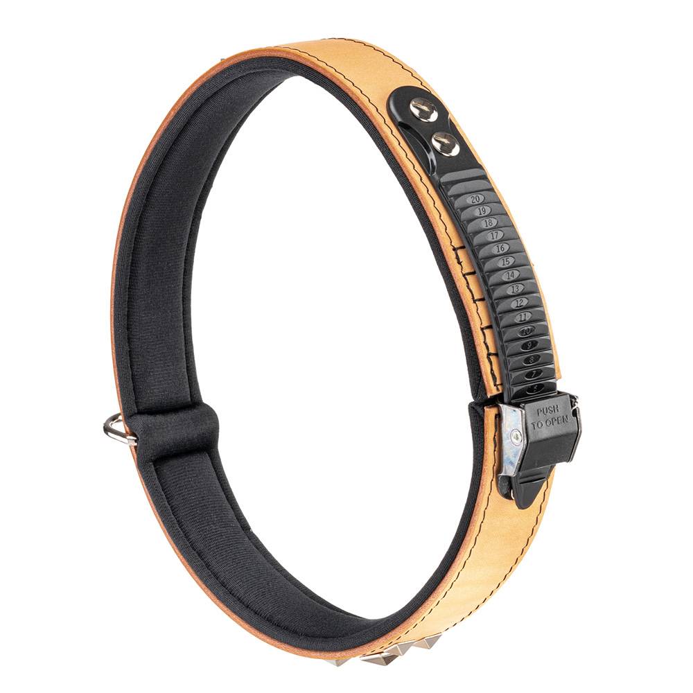 Ferplast - Collier pour Chiens GIOTTO LUXOR C30/67, en Cuir Véritable avec Clous Argentés - Imagen 3