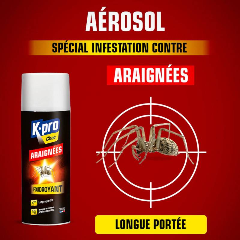 Kapo Araignee Lg Porte 400ml Tp18 - Kapo - Image 2