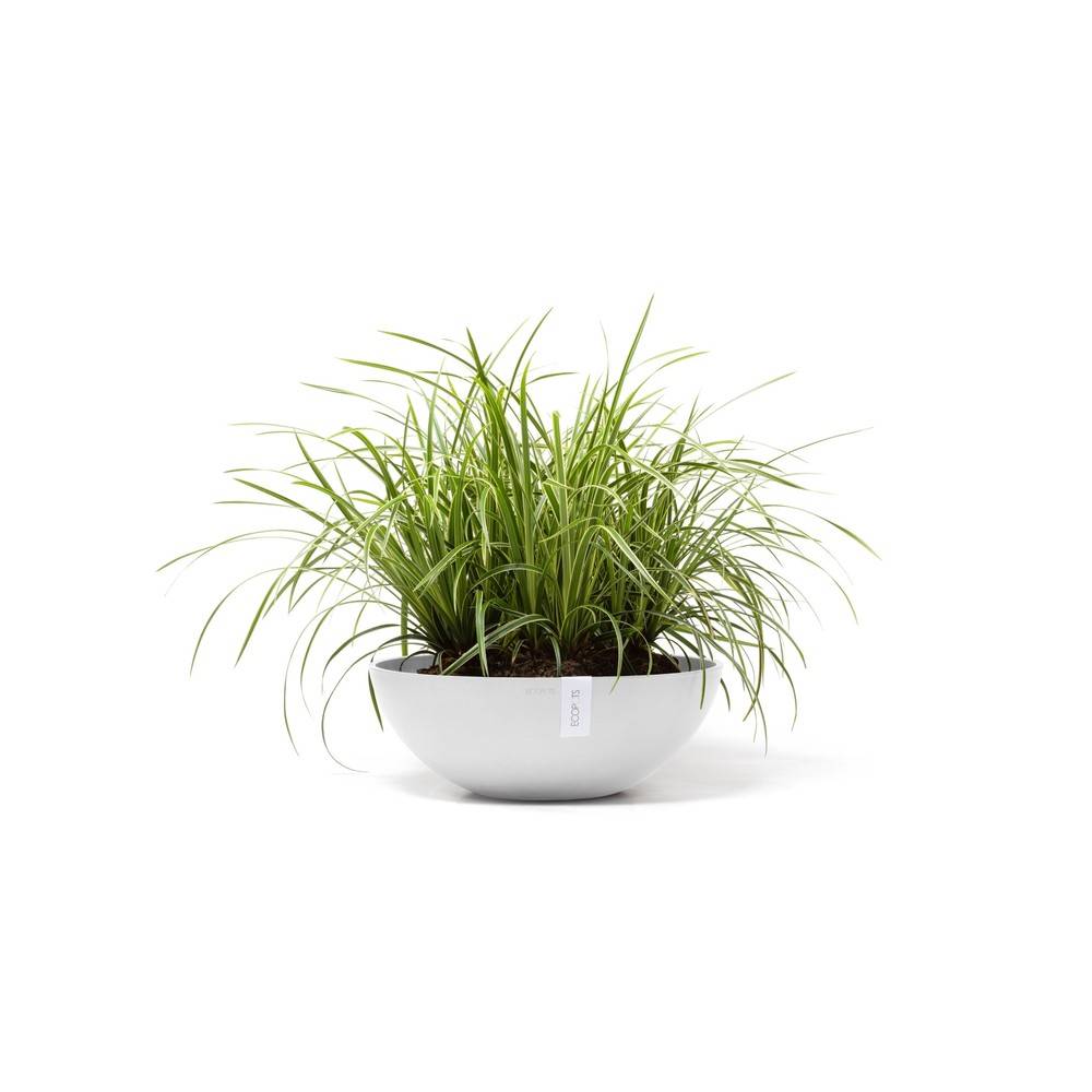 Ecopots - Pot Vienna 50 Pure White ECOPOTS - Imagen 2